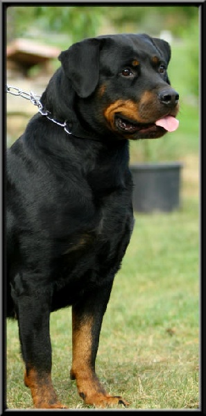 Audie du domaine des eclaireurs